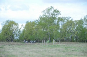 1_rano za Astanou u rybnika_resize_20150517_080356