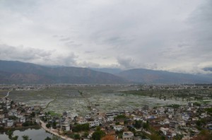 4. ryzova pole v okoli mesta 