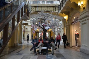 5_strom zamilovanych v Gumu_resize_20150520_163328