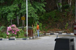 DSC_9516_resize_20150321_085414