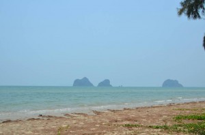 DSC_9553_resize_20150323_051315