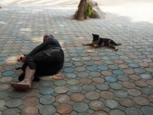 P3220465_resize_20150323_051308