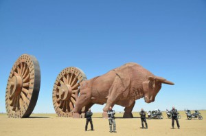 11_nejvetsi mongolsky byk_resize_20150502_165259