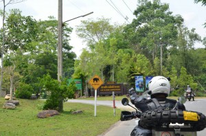 DSC_9737_resize_20150325_151601