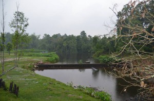 DSC_9780_resize_20150325_151606