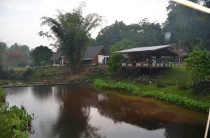 DSC_9784_resize_20150325_151608