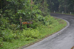 DSC_9797_resize_20150325_151228