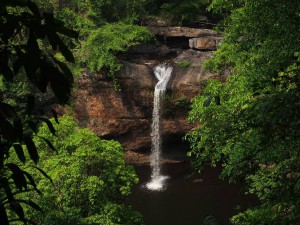 P3250562_resize_20150325_151233