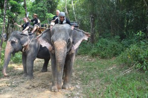 DSC_9605_resize_20150331_064631