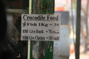 Osklive male kacatko1