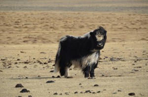 8. na vitr a zimu je fakt vybavena