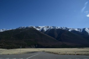 9_neuveritelne..stromy,trava_resize_20150515_202419