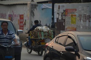 8_kachny jedou na trh 