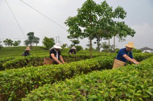 11. nemame na obed, museli jsme na brigadu 