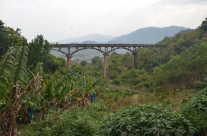 6. zatisi s obalenymi trsy bananu a aquaduktem v pozadi 