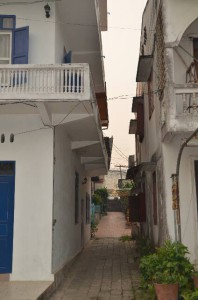 DSC_0398_resize_20150408_161117