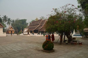 DSC_0423_resize_20150408_161113