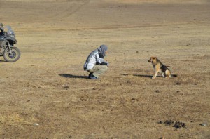 7. Dezi si ho zkousi spratelit, ale ani maso nezabira